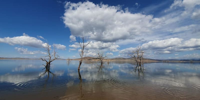 Photo by Eddy & Kathy Tiemens