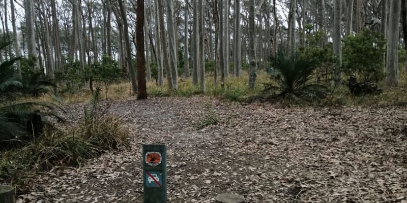 Photo by Ahmad Musa Ababneh