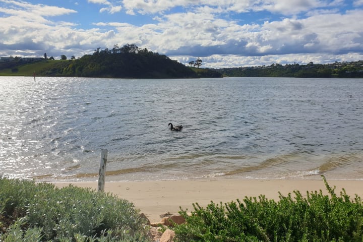 Photo by Hi there we are currently traveling.