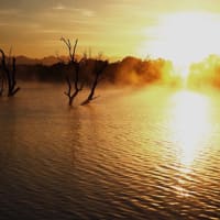 Photo by Wildflower and her Wildlings