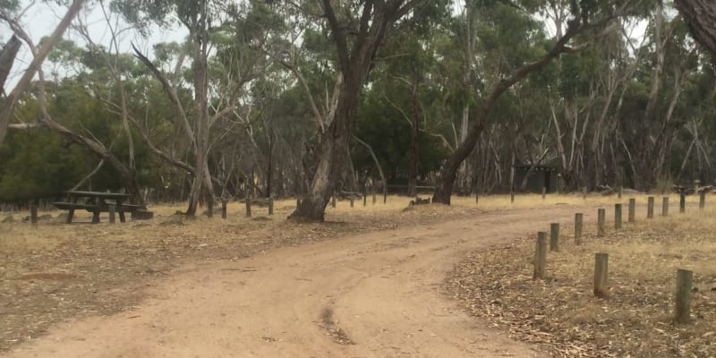 Photo by M + P + 3x dogs