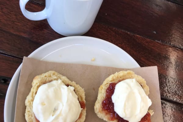 Photo by Four Who Explore