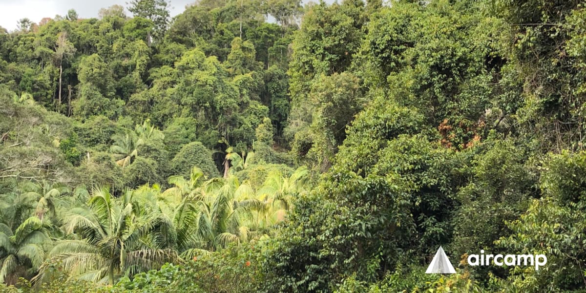 Tamborine Mountain Caravan & Camping Anycamp