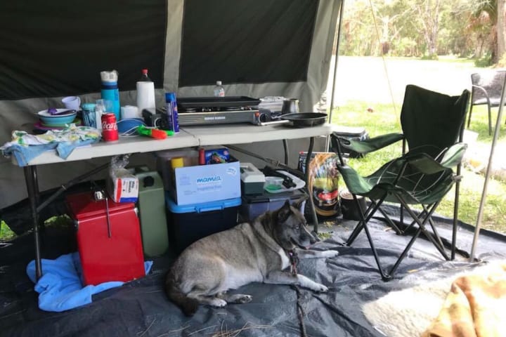 Photo by Jodie Roadster Campny