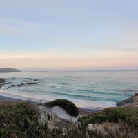 Photo by Sanchia Keeleigh Gray