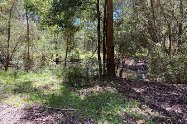 Photo by Ania Daria Sekula