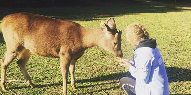 Photo of Mansfield Zoo