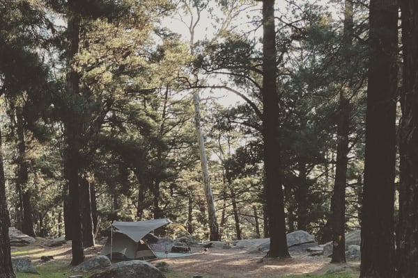 Photo by The Midweek Escape Artist