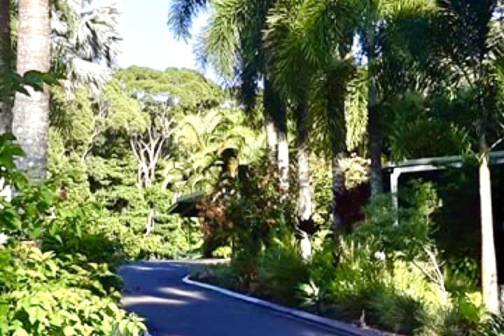 Photo by Sharlene K.