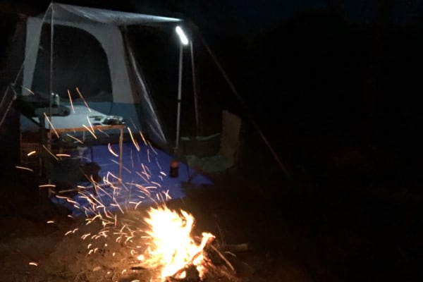 Photo by Laura Ann Romanov