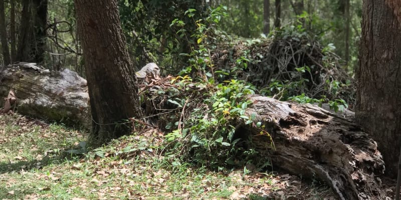 Photo by Melita St Ledger