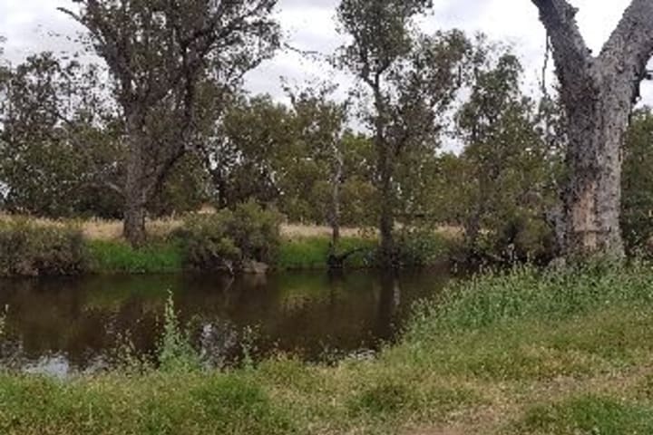 Photo by Connie de Koning