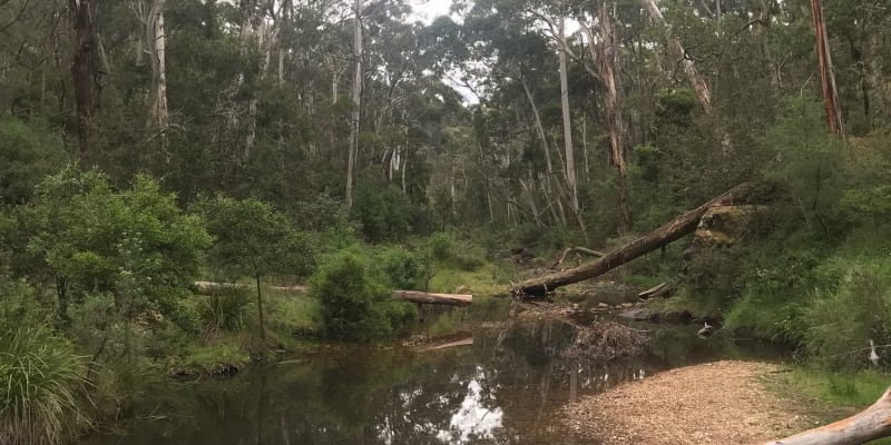 Photo by Jason Maclennan Inglis