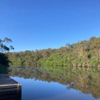 Photo by Wildflower and her Wildlings