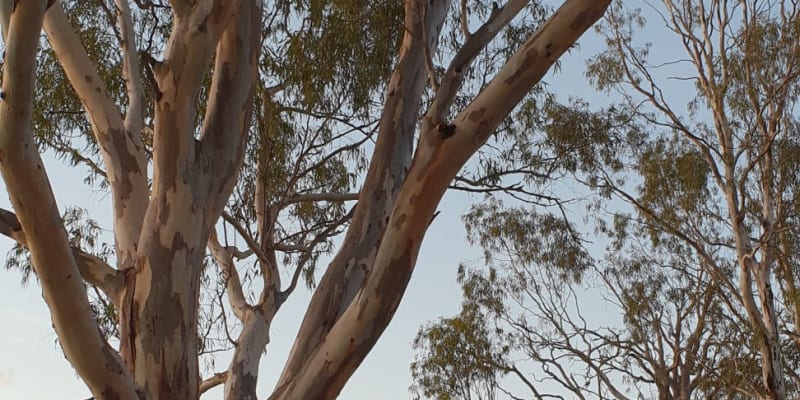 Photo by Michelle D.