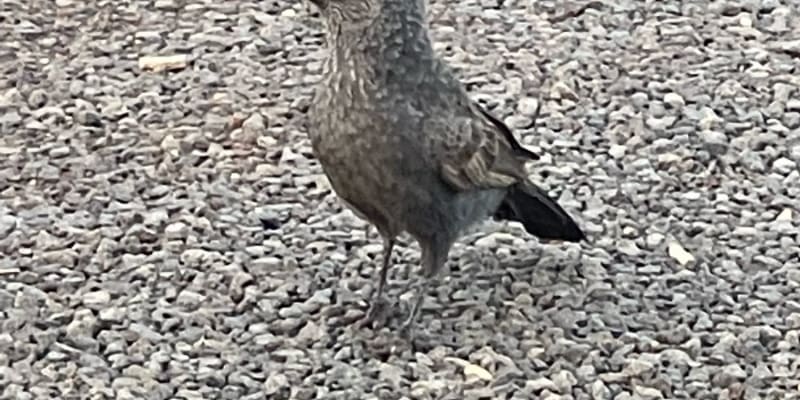 Photo by HomeIsWhereWeParkIt