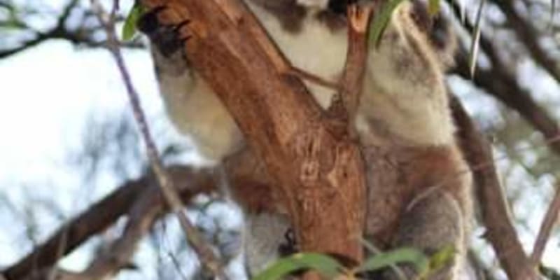 Photo by Helen de la Perrelle