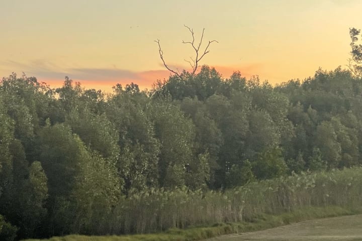 Photo by Kerrie  Deaves