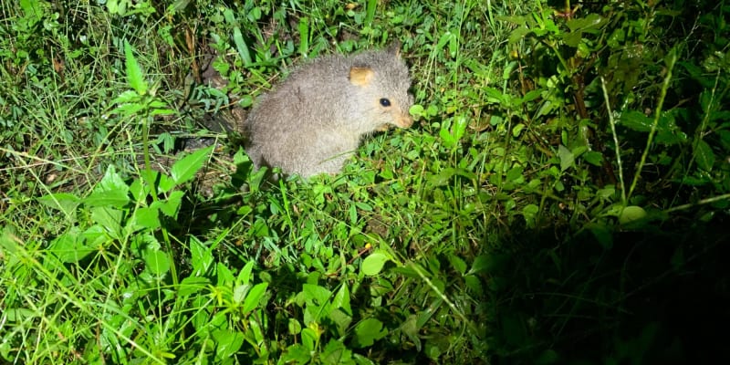 Photo by Off The Trax