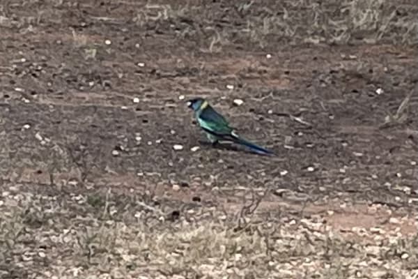 Photo by Happy Hour Hunters