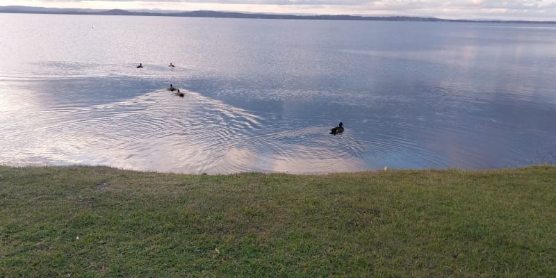 Photo by Colin van den Hoff