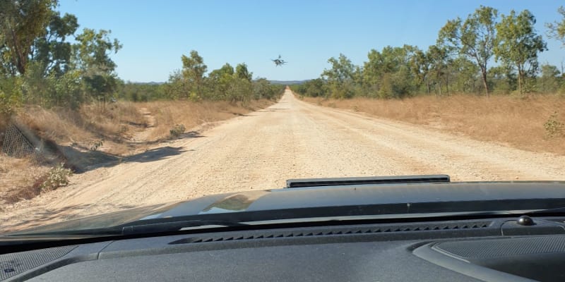 Photo by CATHERINE H.