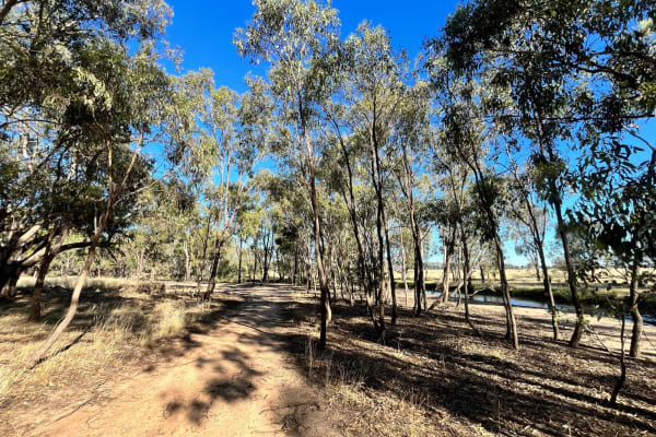 Photo by DaveDuff    CampInNature