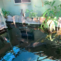 Photo by Corporate to Caravan