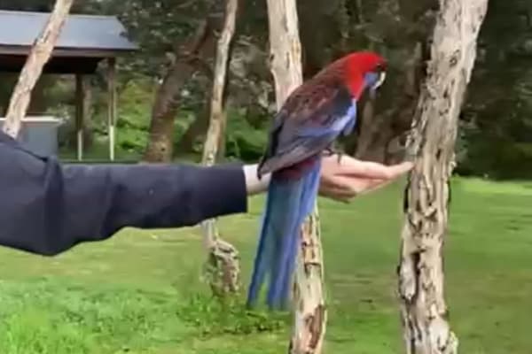 Photo by [deleted user]