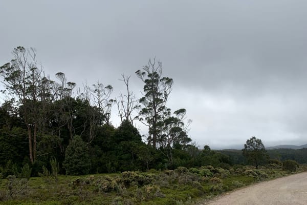 Photo by offsomewhere