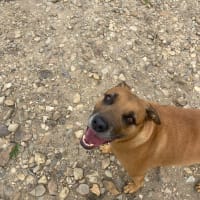 Photo by Stephanie K.