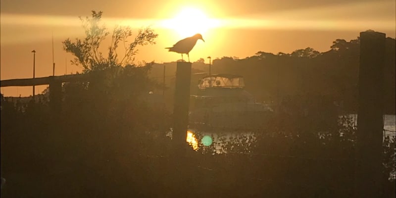 Photo by Bláthnaid Máire Kelly