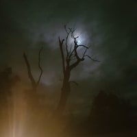 Photo by Connie de Koning