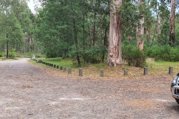 Photo by prashant h.