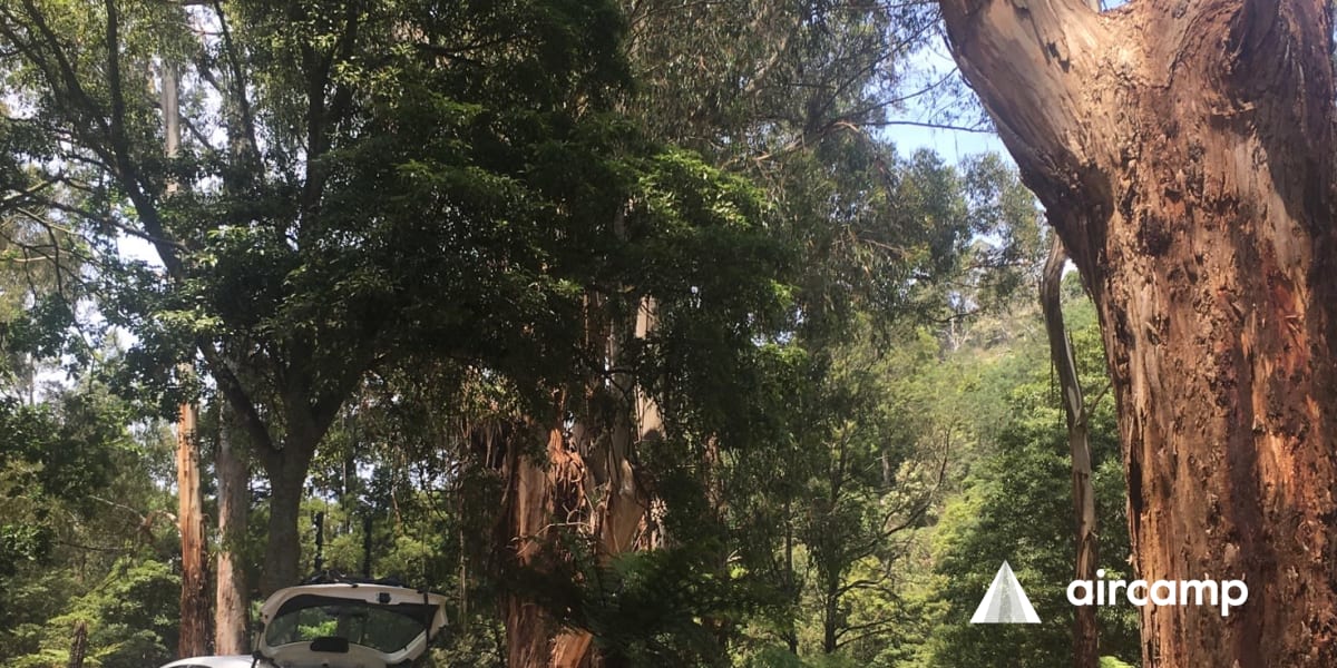 Tarra Valley Caravan Park