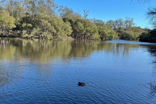 Photo by Nott Chutima Phayungporn