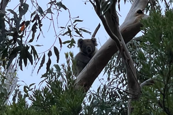 Photo by Clarissa W.