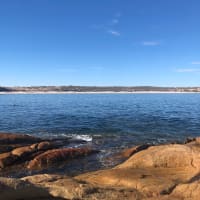 Photo by Philippa D.