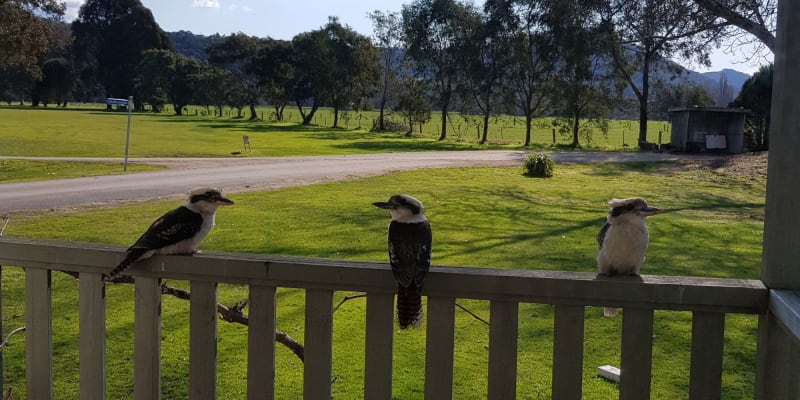 Photo by Kirstine R.