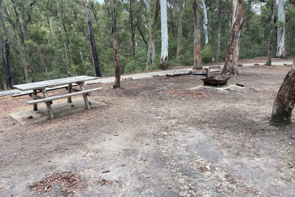 Photo by Kerri-Anne D.