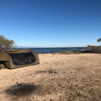 Photo by Philippa D.