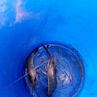 Photo by My Rig Adventures