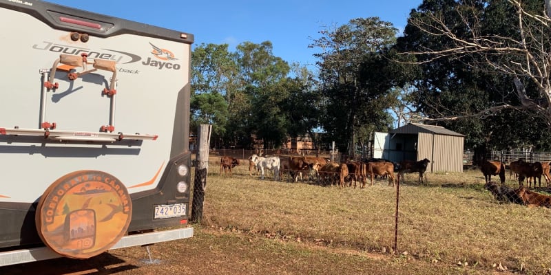 Photo by Corporate to Caravan