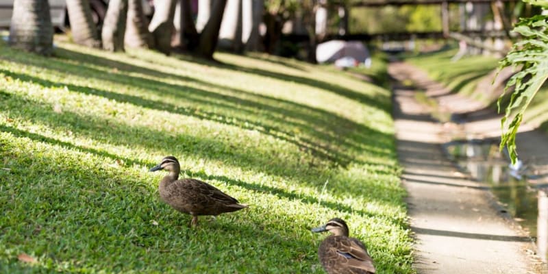 Photo by Caroline B.