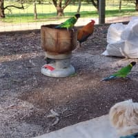 Photo by Colin van den Hoff