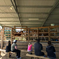 Photo by The blonde nomads