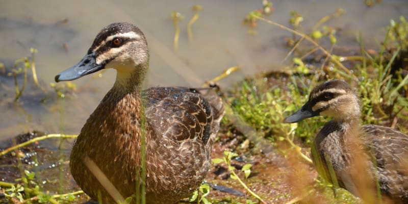 Photo by Guest.Relations