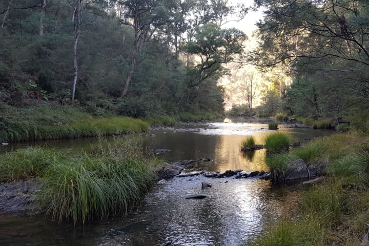 Photo by Laurence Van Burck