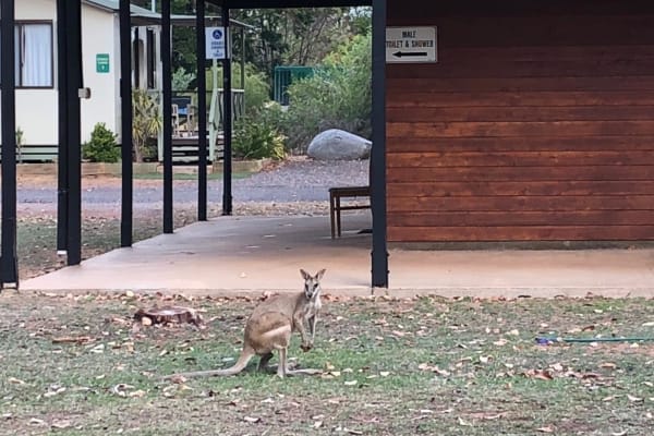 Photo by Marcia Christine Baker