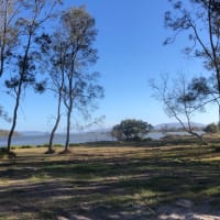 Photo by Michelle E.